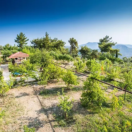Uzum * Kalkan