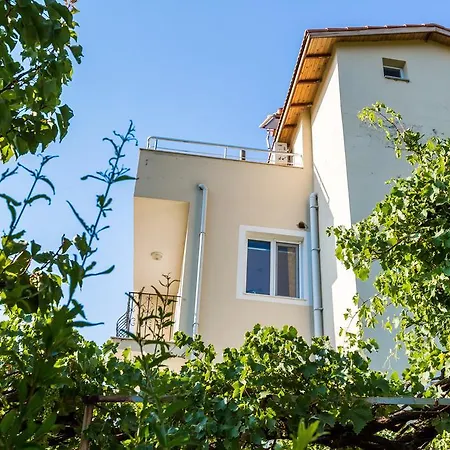 Uzum * Kalkan