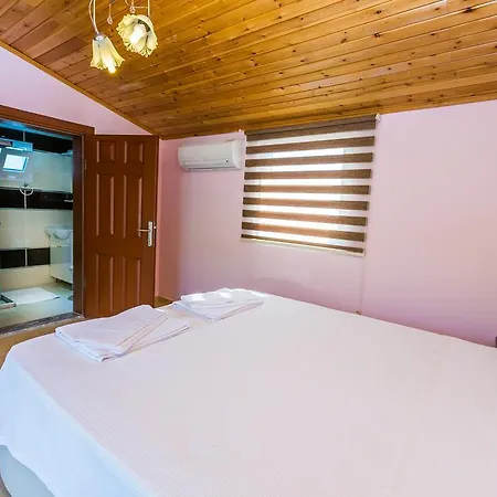 Vilă Uzum Kalkan
